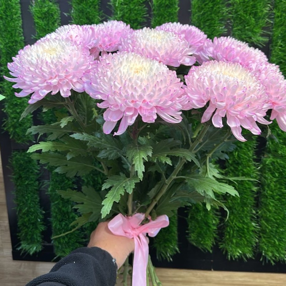 Лунный блик в Москве