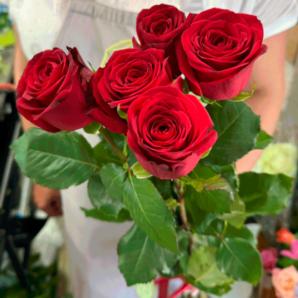 5 красных роз в Москве